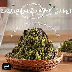 [NS홈쇼핑]제주 햇 고사리 150g x 10팩[35919996]