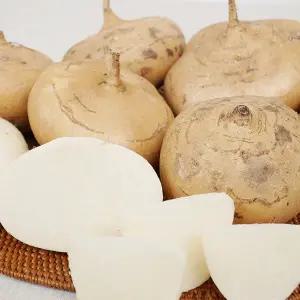 풍부한 식이섬유 저칼로리 멕시코감자 베트남 히카마 5kg