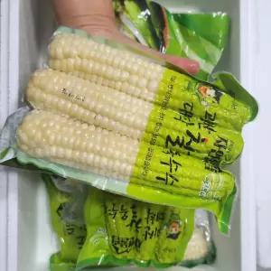 훼밀리7마켓 삶은 냉동 괴산 대학찰옥수수 17cm이하