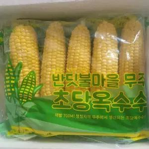 무주 손질 초당옥수수 특품 [14cm이상] - 10개