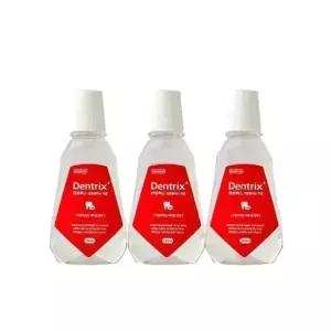 덴트릭스 가글액 플러스 250ml 3개 휴대용