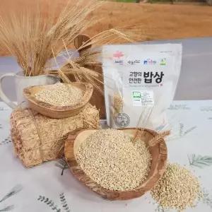 [26년 햇] 진도 유기농 찰보리 800gx6봉
