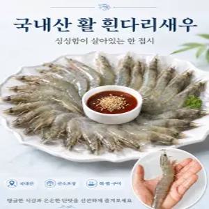 당일조업 활 흰다리새우 1kg(30-35미) 왕새우/대하 26년 첫조업