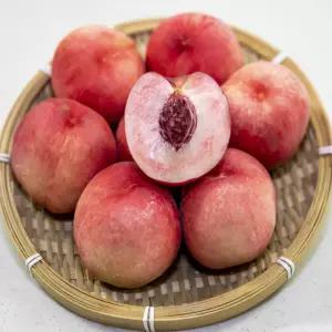 [품질보증제] 햇 딱딱이 백도 복숭아 4kg (25-30과 내외)