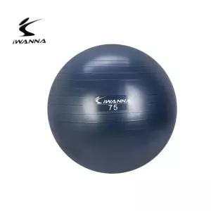 피트니스 안티버스트 짐볼 블루인디고 75cm