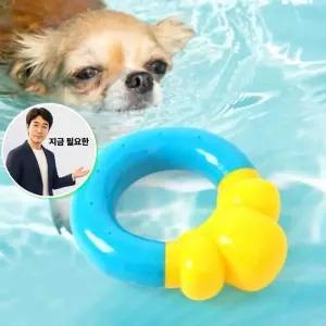지금 필요한 쿨한아이스강아지장난감반려동물이갈이장남감 반려동물장난감