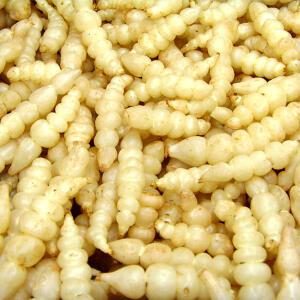 선우 초석잠장아찌 10kg 반찬