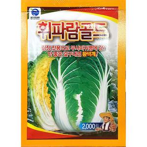 휘파람골드배추 2000립 사카타 26년 김장씨앗 배추씨앗