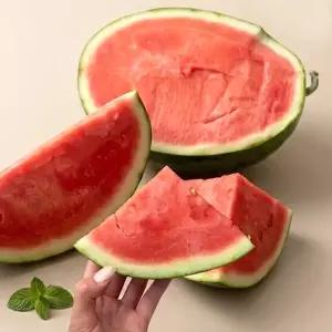 고당도 씨없는 수박 5~8kg 씨들리스 수박