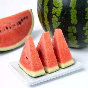 프리미엄 고당도 노지 꿀 수박 7-8kg 이상