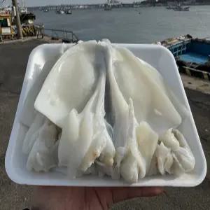 국산 서해 손질 갑오징어 왕대 3미 급냉 1kg 숙회 볶음용