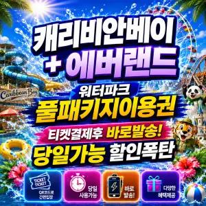 [당일가능 문자전송] 캐리비안베이 종일권 +에버랜드 포함 대소공통 구명조끼 골드시즌