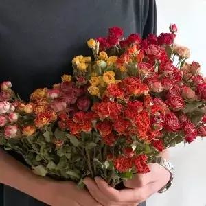 보존 된 멀티 장미 꽃 꽃다발 홈 오피스 장식을위한 천연 말린 그녀를위한 기념일 선물 DIY 공예 로맨틱