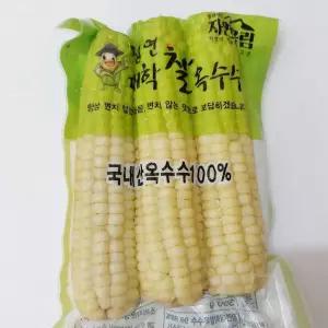 괴산 장연 대학찰옥수수 생 찐 삶은 냉동 햇 찰옥수수 15~16cm 15개