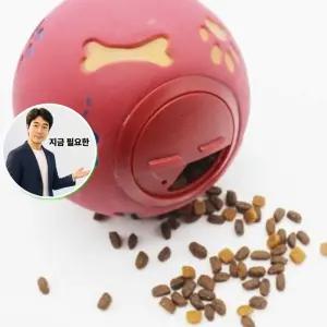 지금 필요한 쥬쥬강아지간식장난감공 14cm 반려견 강아지간식장난감