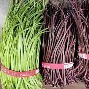 국내산 잎제거 줄기 고구마순 2kg