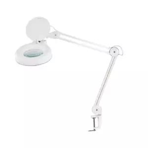 블루텍확대경 조명확대경 BD-F8 400-3014