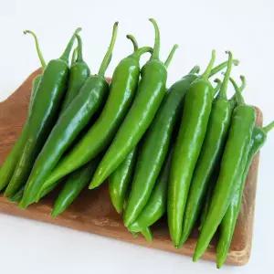 산 햇 풋고추 상품 1kg 8528729