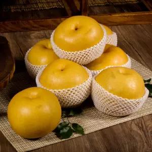 [행복한농부] 가정용 못난이 배 5kg(5~13과) 지금수확/신선해요/우체국택배