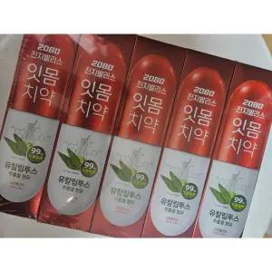 2080 진지발리스 유칼립투스치약 스트롱민트 150gX10개