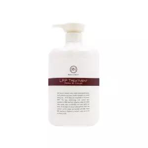 아렌 LPP 엘피피 트리트먼트 헤어팩 1000ml
