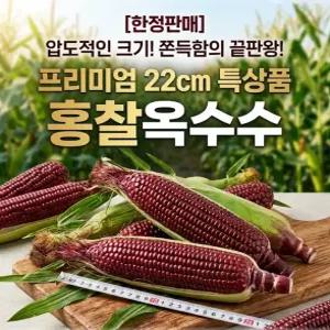 최상품 선별 국산 흑찰옥수수 왕특품 (22cm 이상)