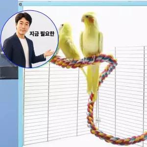 지금 필요한 컬러 60cm 휴식공간 횃대 앵무새 그네 1P 장남감