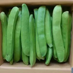 천지농원 생작두콩 10kg 직접재배 깍지용
