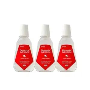 덴트릭스 가글액 플러스 250ml 3개 휴대용