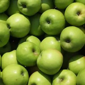 [파인밀] 경북 아오리 썸머킹 사과 주스용 10kg 내외