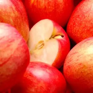[경북] 안동 청송 부사사과 가정용 대과 5kg 15과 내외