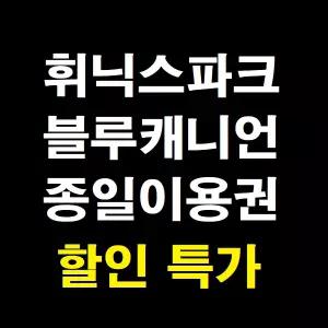 [당일가능 문자전송]평창 휘닉스파크 블루캐니언 워터파크 종일권 대인소인 골드시즌 블루탑시즌