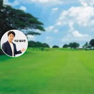 지금 필요한 4만립 종자 잔디 씨앗 산소 정원 축구장 골프장 한국들잔디