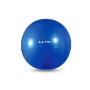 학교 필라테스 펌프 킨 짐볼 용품 요가 스타 블루 공 55cm [a6A2D76]