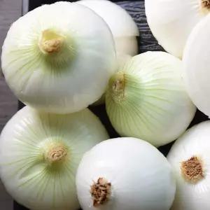[산지직송] 단단한 황토 무안 햇 양파(중)10kg