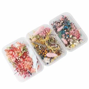 누르면 꽃 잎 말린 데이지 마른 수지 아름다움 네일 아트 데칼 에폭시 금형 충전 DIY 펜던트 키 체인 쥬얼