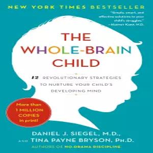 아이 두뇌 발달 육아서 The Whole Brain Child 12 혁신적 전략