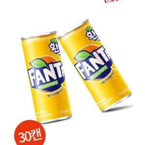 환타 파인애플 250ml 30캔 카페용