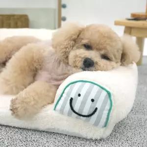 패리스독 라운드필로우베드