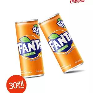 환타 오렌지 250ml 30캔 카페용
