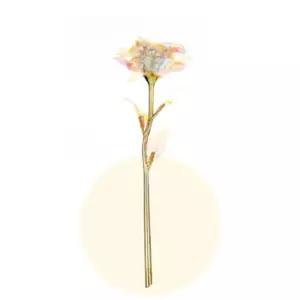홀로그램 장미 카네이션 졸업식 꽃다발 생일