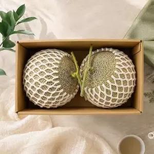국내산 머스크 멜론 2수 2.3kg 내외