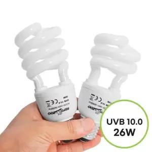 렙티주 UVB램프 10.0 사막형 파충류램프 26W