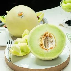 오리지널 왕관 허니듀 고당도 멜론 대과 2.4kg 내외, 2수
