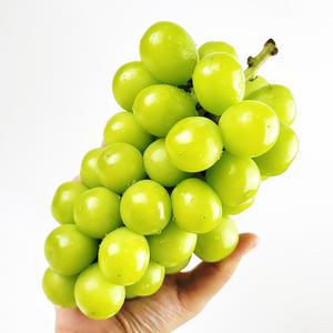 로컬샤인머스켓농장 샤인머스켓 2kg(3-4수)