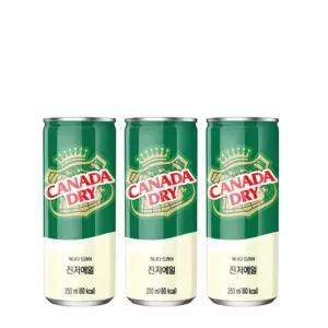 캐나다 진저엘 250CAN X30 탄산음료 진저에일 토닉워터 클럽소다