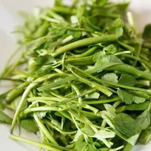 국내산 제철 채소 돌미나리 500g