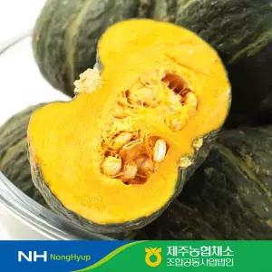 [제주농협] 햇살바람 제주 미니단호박 8kg / 개당 200~600g