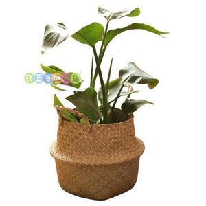 빨래 씨그래스 꽃병 발수케이스 크다 높이34cm 화이트배경 라탄 바구 해초 접이식 공예 화분 등나무 가정용 정리함 행잉 지름38cm