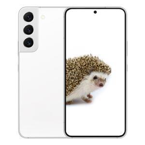 삼성전자 갤럭시 S22 256GB SK 기기변경 SM-S901N